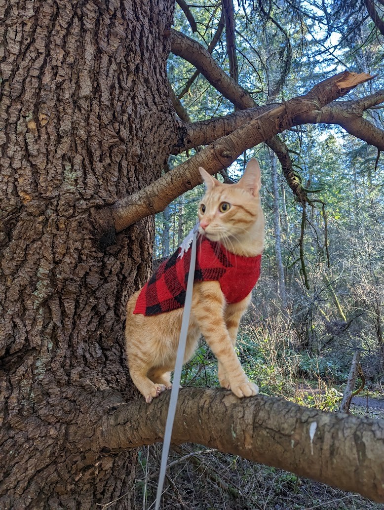 Nivedita Venugopalan